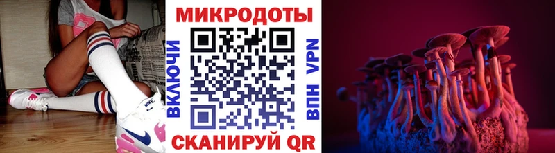 Псилоцибиновые грибы Psilocybe  Кяхта 